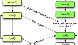如何理解php socket