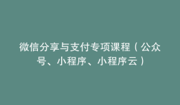 微信分享与支付专项课程（公众号、小程序、小程序云）