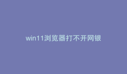 win11浏览器打不开网银