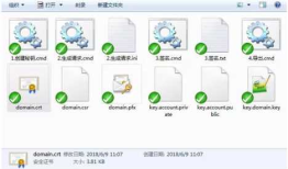 生成线上用https证书，支持通配符和多域名，初学Let’s Encrypt用于IIS，纯本地手动