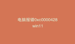 电脑报错0xc0000428win11