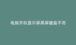 电脑开机显示屏黑屏键盘不亮