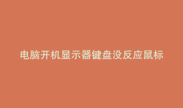 电脑开机显示器键盘没反应鼠标亮