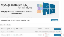 mysql-8.0.11-winx64下载