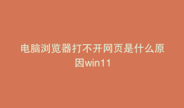 电脑浏览器打不开网页是什么原因win11