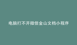 电脑打不开微信金山文档小程序