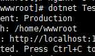 记录.NET Core部署到Linux之发布项目到Linux(2)