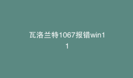 瓦洛兰特1067报错win11