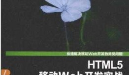 HTML5移动Web开发实战 PDF扫描版?