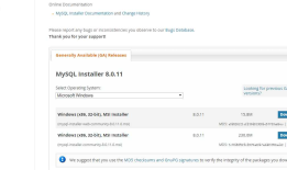 Windows环境安装MySQL8.0.11