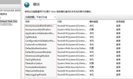 IIS部署.net core项目
