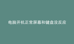 电脑开机正常屏幕和键盘没反应
