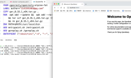 goreplay 镜像nginx web app流量