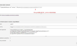 jenkins +git+ssh 构建 .net项目