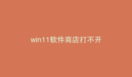 win11软件商店打不开