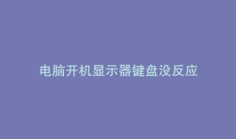 电脑开机显示器键盘没反应
