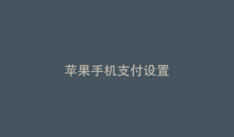 苹果手机支付设置