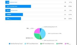2020 年 中国.NET开发者调查报告