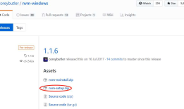 nodejs在windows下的安装配置(使用NVM的方式)