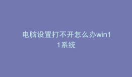 电脑设置打不开怎么办win11系统