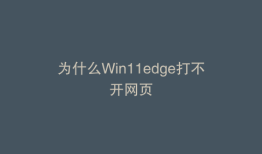 为什么Win11edge打不开网页