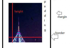 Web CSS