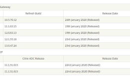 Citrix ADC（原NetScaler）CVE-2019-19781漏洞修复