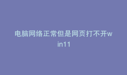 电脑网络正常但是网页打不开win11