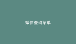 微信查询菜单