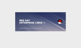 RHEL6.2 ORACLE11G