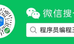推荐一个小程序-程序员编程王-随时随地学软件编程