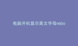 电脑开机显示英文字母reboot