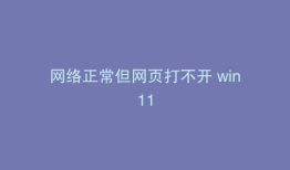 网络正常但网页打不开 win11