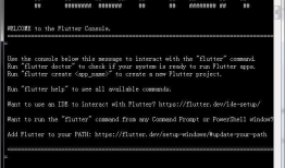 谷歌移动UI框架Flutter入门