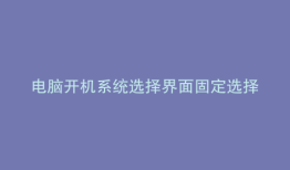 电脑开机系统选择界面固定选择哪个
