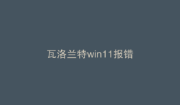 瓦洛兰特win11报错