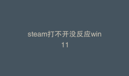 steam打不开没反应win11