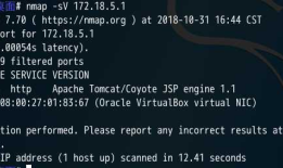 CTF--HTTP服务--命令执行
