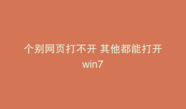 个别网页打不开 其他都能打开win7