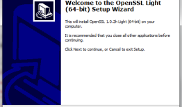 Windows安装使用Openssl创建pks p12证书