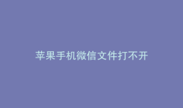苹果手机微信文件打不开