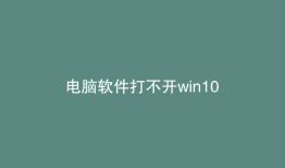 电脑软件打不开win10