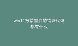 win11报错重启的错误代码都有什么