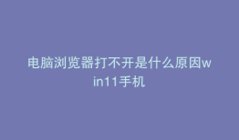 电脑浏览器打不开是什么原因win11手机