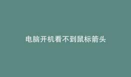 电脑开机看不到鼠标箭头