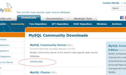 mysql-8.0.11-winx64下载