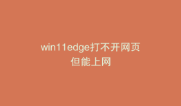win11edge打不开网页但能上网
