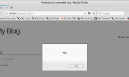 OSCP Learning Notes - WebApp Exploitation(2)