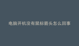 电脑开机没有鼠标箭头怎么回事