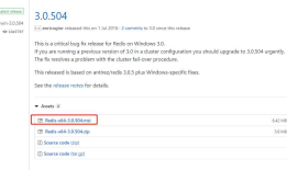 .Net集成Redis